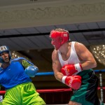 Bermuda Boxing JM Nov 2015 (15)