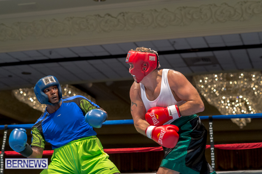 Bermuda-Boxing-JM-Nov-2015-15