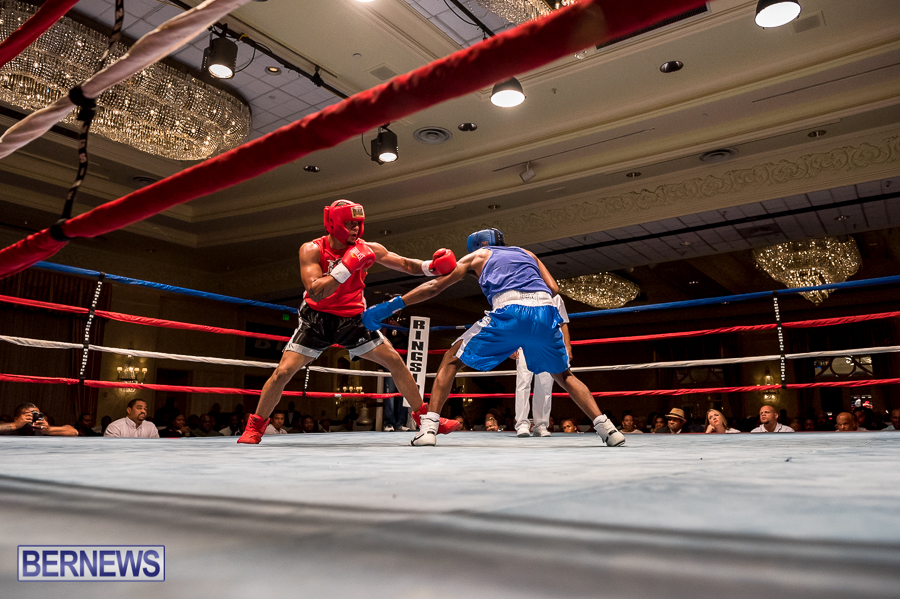 Bermuda-Boxing-JM-Nov-2015-151