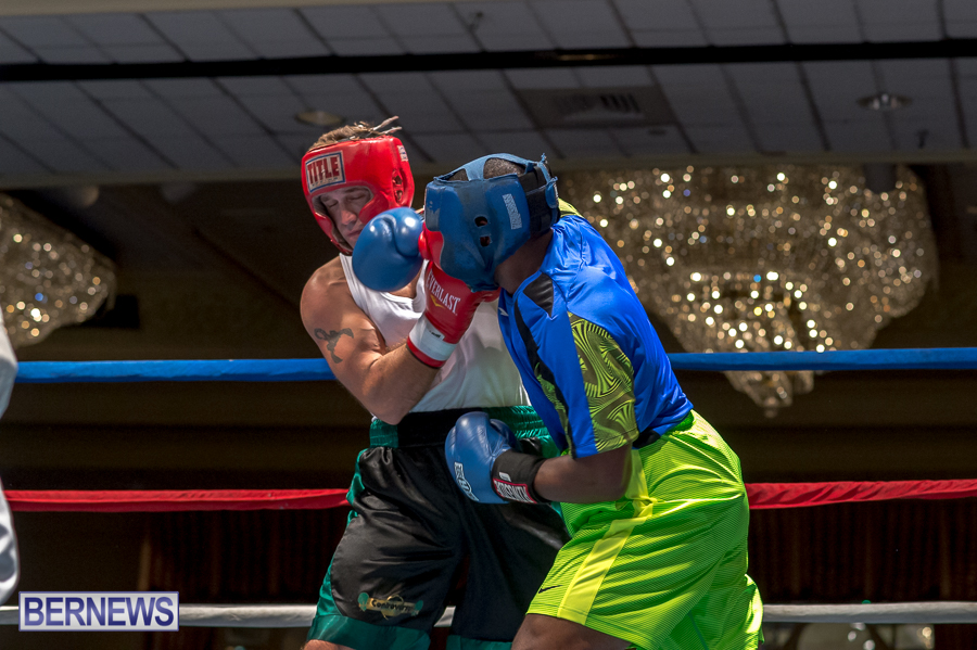 Bermuda-Boxing-JM-Nov-2015-16