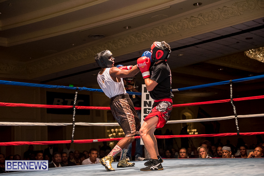 Bermuda-Boxing-JM-Nov-2015-165