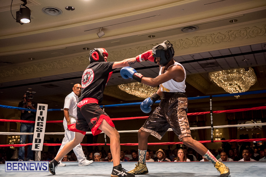 Bermuda-Boxing-JM-Nov-2015-167