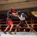 Bermuda Boxing JM Nov 2015 (168)