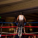 Bermuda Boxing JM Nov 2015 (172)