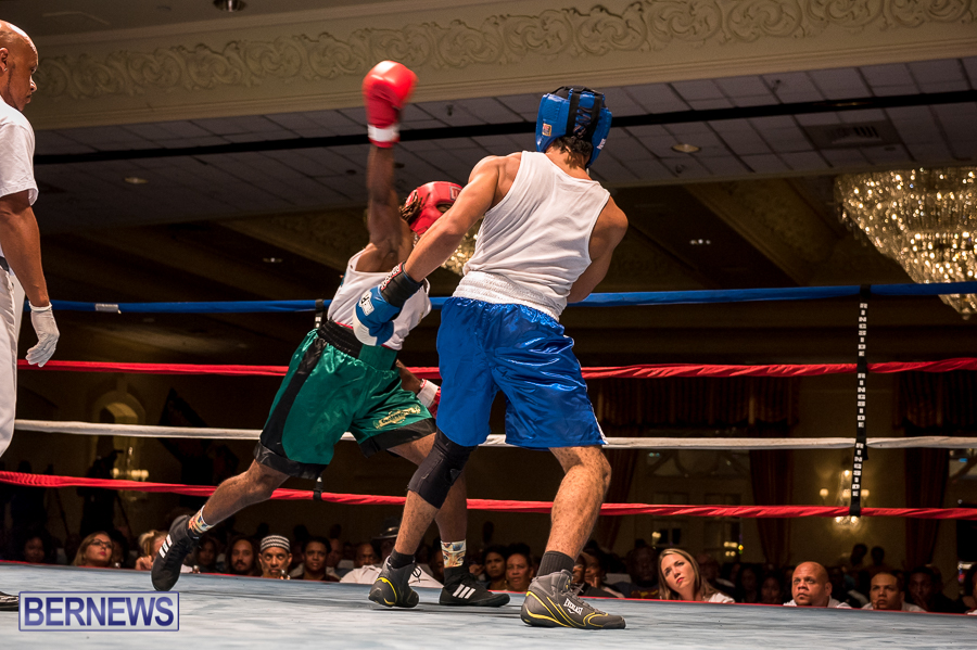 Bermuda-Boxing-JM-Nov-2015-175