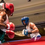 Bermuda Boxing JM Nov 2015 (176)
