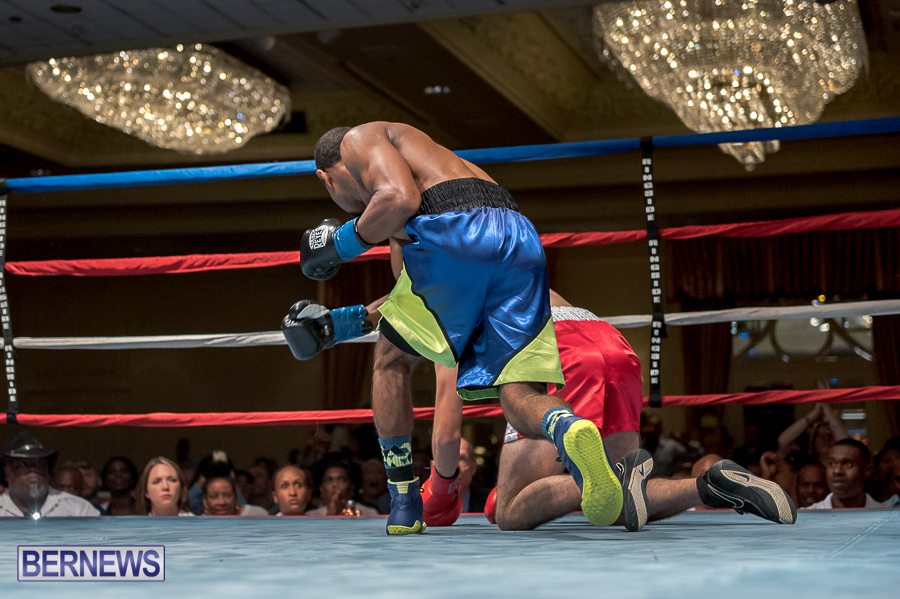 Bermuda-Boxing-JM-Nov-2015-194