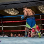 Bermuda Boxing JM Nov 2015 (195)