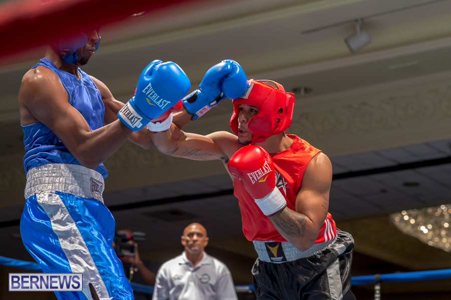 Bermuda-Boxing-JM-Nov-2015-2