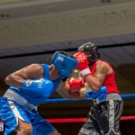 Bermuda Boxing JM Nov 2015 (20)