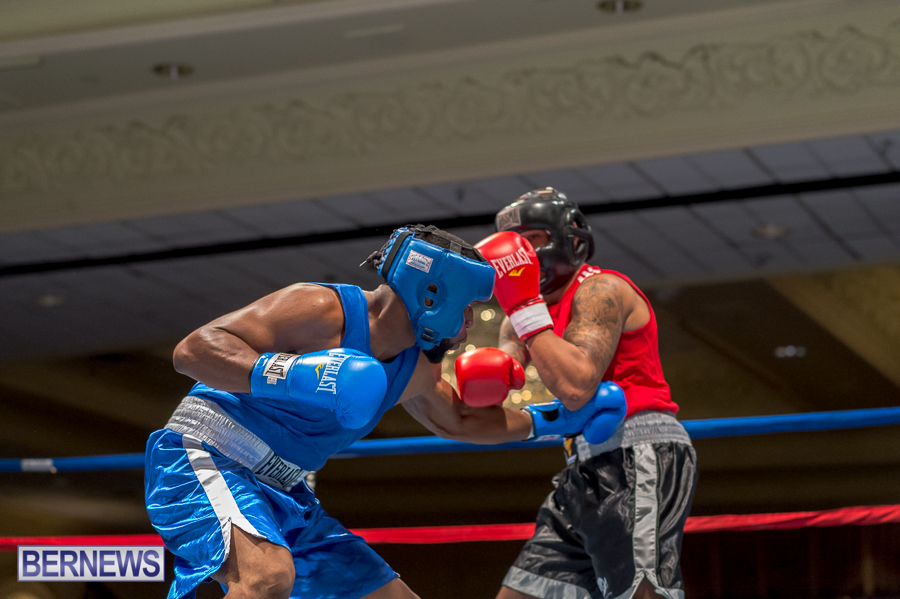 Bermuda-Boxing-JM-Nov-2015-20