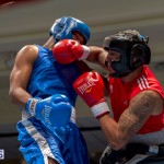 Bermuda Boxing JM Nov 2015 (21)