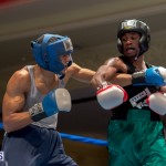 Bermuda Boxing JM Nov 2015 (26)