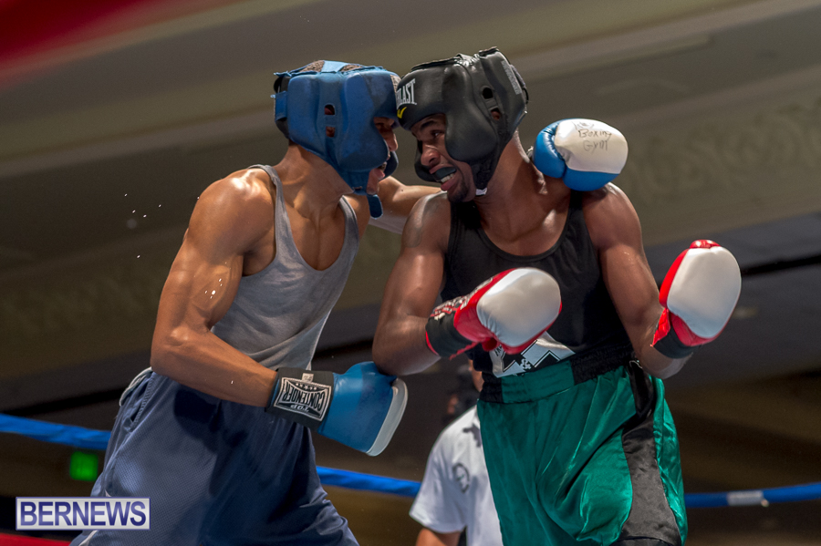 Bermuda-Boxing-JM-Nov-2015-27