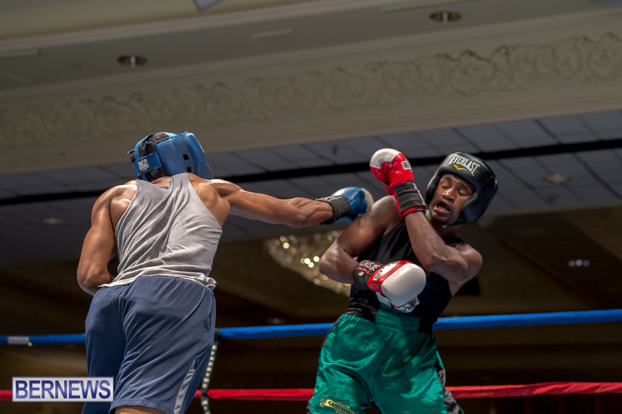 Bermuda-Boxing-JM-Nov-2015-28