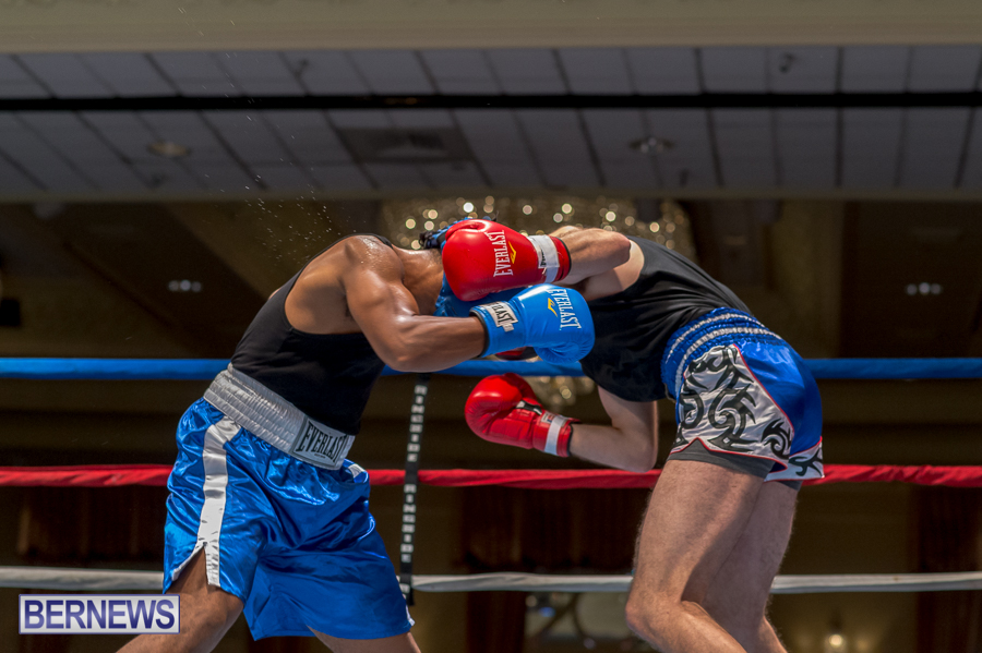 Bermuda-Boxing-JM-Nov-2015-31