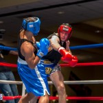 Bermuda Boxing JM Nov 2015 (36)