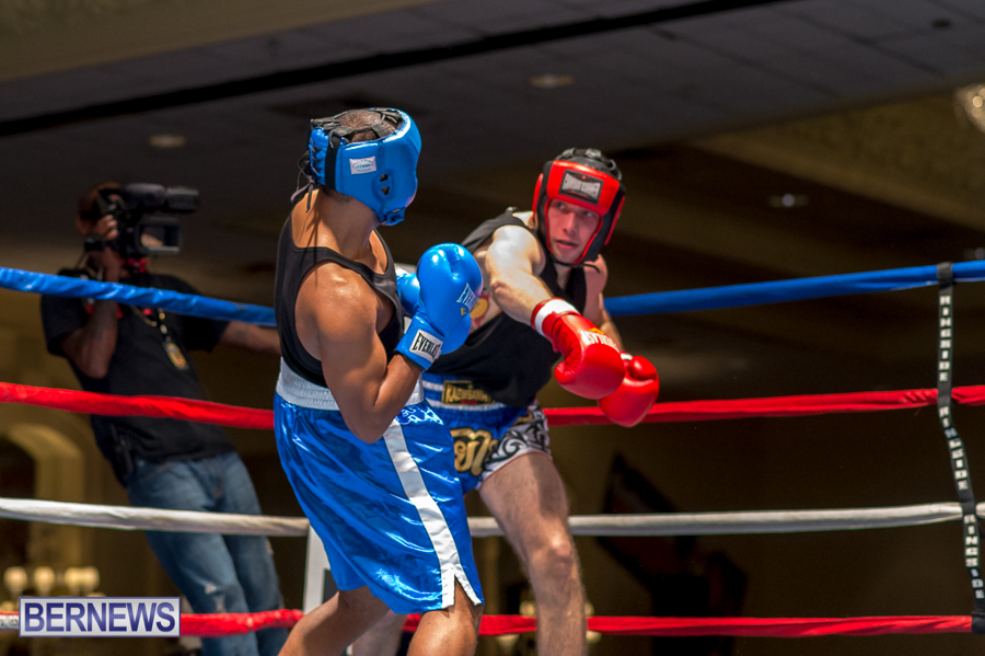 Bermuda-Boxing-JM-Nov-2015-36