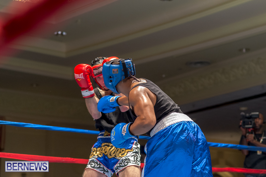 Bermuda-Boxing-JM-Nov-2015-39