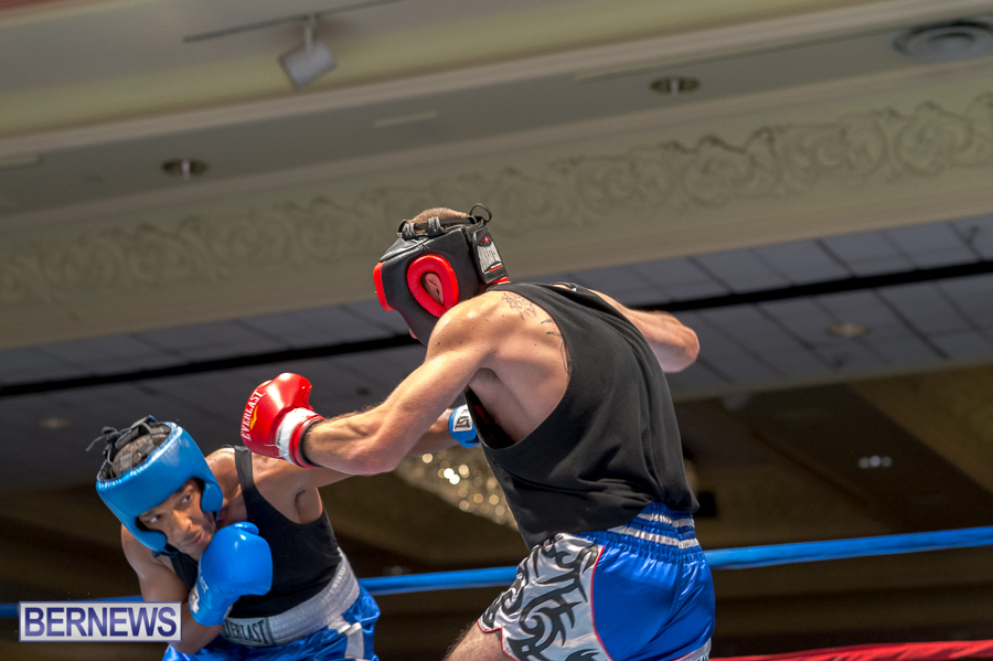 Bermuda-Boxing-JM-Nov-2015-42
