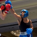 Bermuda Boxing JM Nov 2015 (48)