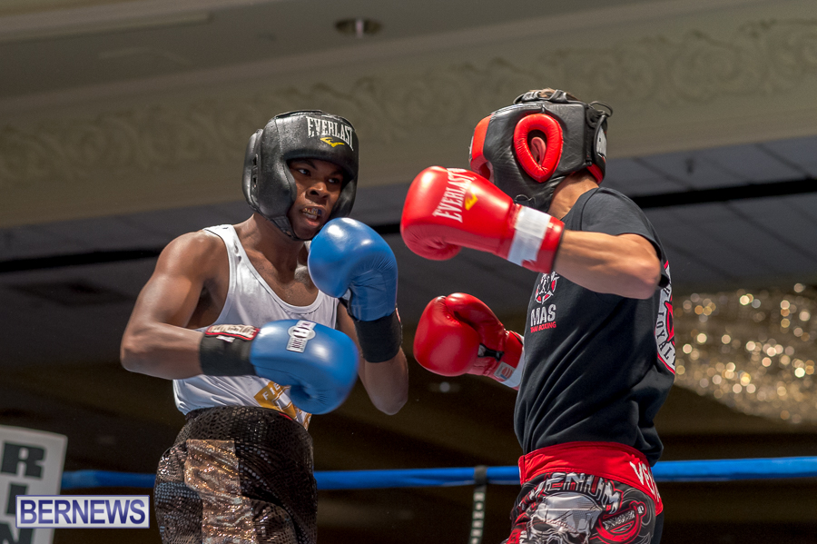 Bermuda-Boxing-JM-Nov-2015-52