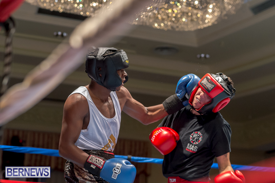 Bermuda-Boxing-JM-Nov-2015-56