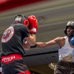 Bermuda Boxing JM Nov 2015 (63)