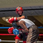 Bermuda Boxing JM Nov 2015 (64)