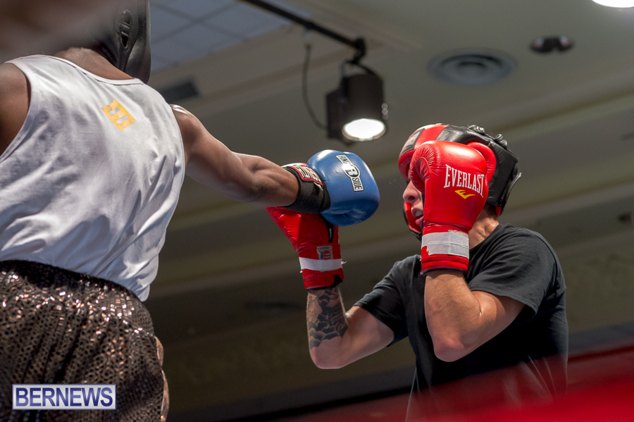 Bermuda-Boxing-JM-Nov-2015-65
