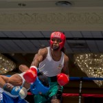 Bermuda Boxing JM Nov 2015 (71)