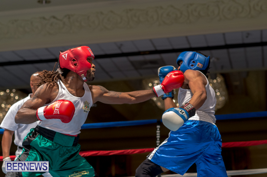 Bermuda-Boxing-JM-Nov-2015-72