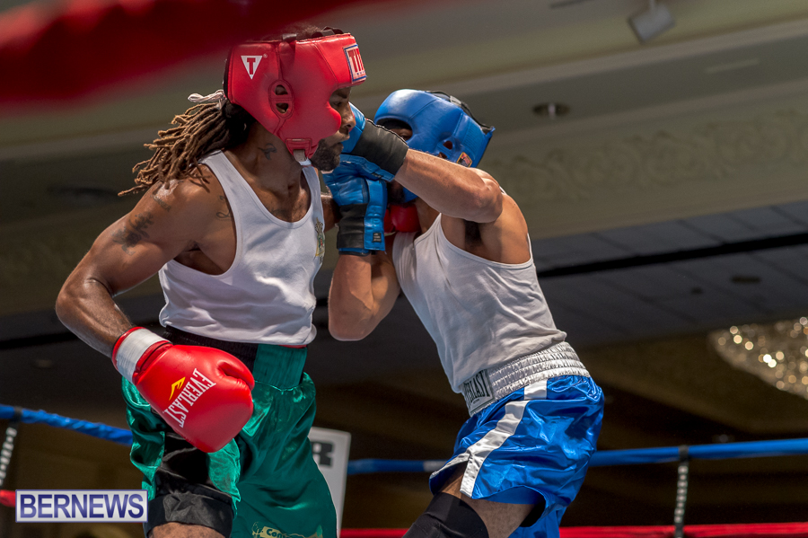 Bermuda-Boxing-JM-Nov-2015-76