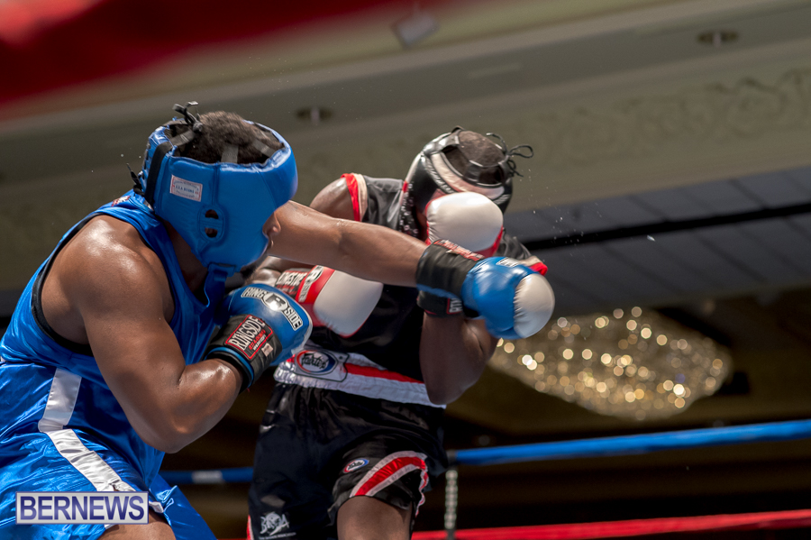 Bermuda-Boxing-JM-Nov-2015-79