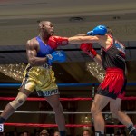 Bermuda Boxing JM Nov 2015 (91)