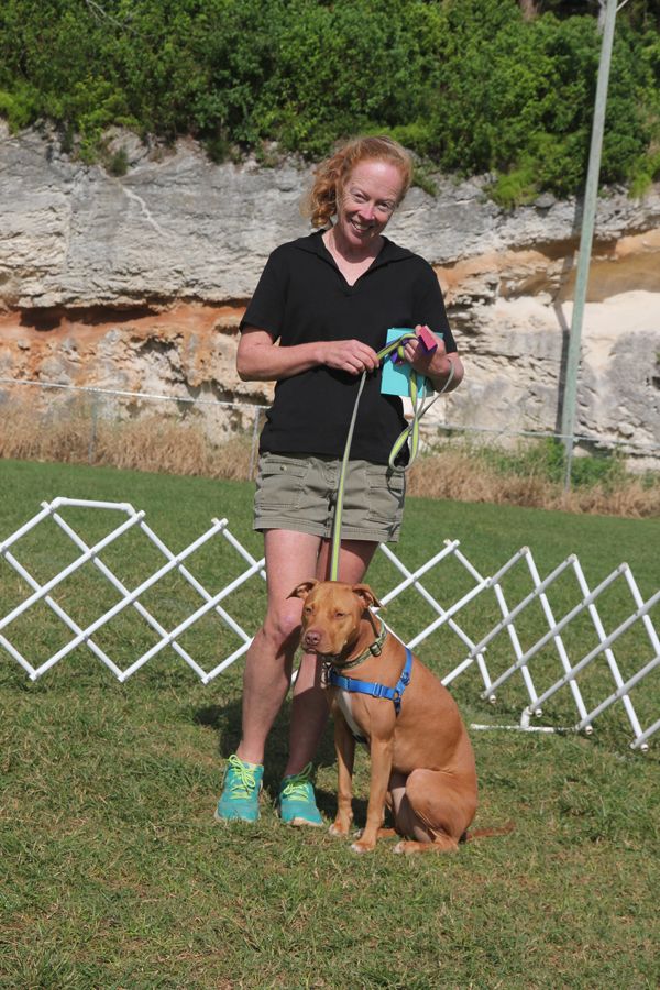 Dog Training Club Bermuda Nov 18 2015