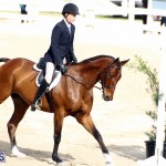 Horse Show Bermuda Nov 26 2015 (1)