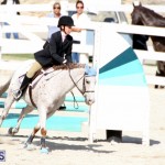 Horse Show Bermuda Nov 26 2015 (17)