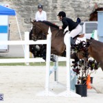 Horse Show Bermuda Nov 26 2015 (7)