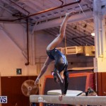 International Gymnastics Challenge Bermuda, November 14 2015-33