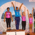 International Gymnastics Challenge Bermuda, November 14 2015-48