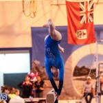 International Gymnastics Challenge Bermuda, November 14 2015-72