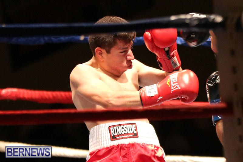 Nikki-Bascome-vs-Pilo-Reyes-Boxing-Match-Bermuda-November-8-2015-19