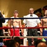 Nikki Bascome vs Pilo Reyes Boxing Match Bermuda, November 8 2015-45