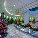 2015 Bermuda Christmas Trees in  Mall JM (7)