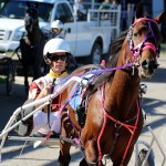 Bermuda Harness Pony Racing Dec 2015 (1)