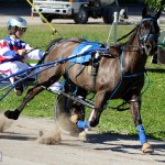 Bermuda Harness Pony Racing Dec 2015 (10)