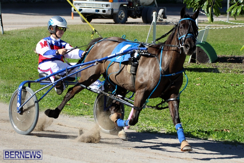 Bermuda-Harness-Pony-Racing-Dec-2015-10