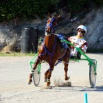 Bermuda Harness Pony Racing Dec 2015 (16)