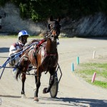 Bermuda Harness Pony Racing Dec 2015 (18)